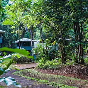 https://ferntree-rainforest-lodge.queenslandhotels.net